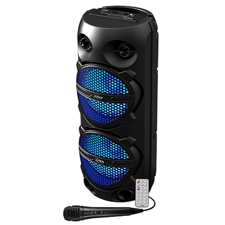 Boxa portabila 2x8
